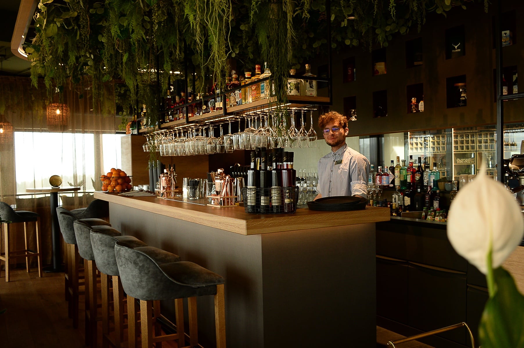 Ein Barkeeper steht hinter einer gut bestückten Bar im Restaurant OHM mit hängenden Gläsern und Pflanzen darüber.