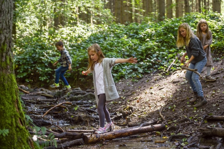 Vier Kinder spielen im Wald. Zwei davon klettern über einen kleinen Bach. Im Hintergrund sind viele grüne Sträucher zu erkennen.