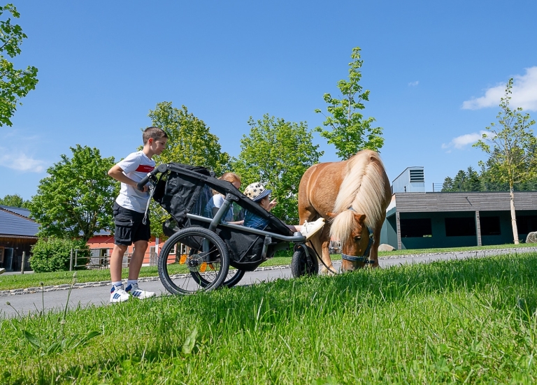 Ein Junge schiebt einen Kinderwagen der Marke tfk, in dem zwei Kinder sitzen. Daneben steht ein Pony.