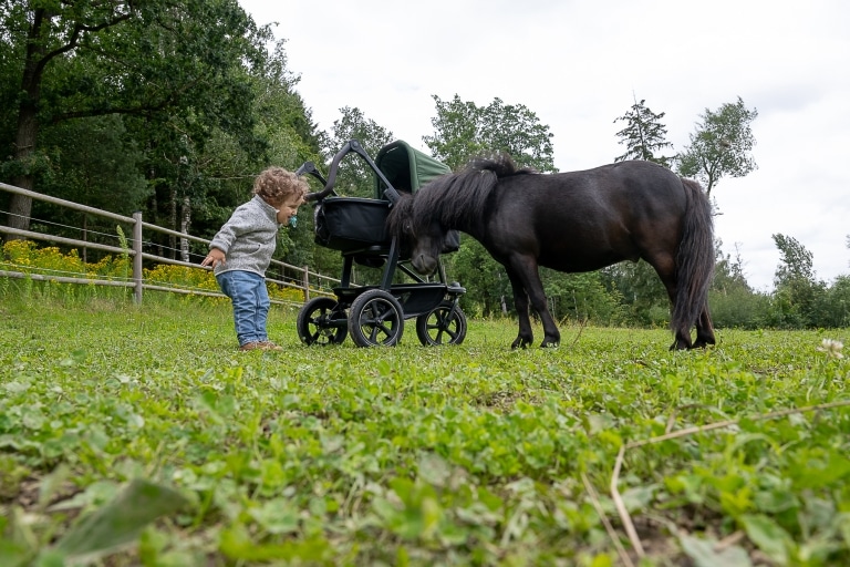 Ein Junge und ein Kinderwagen der Marke tfk stehen auf der Koppel, daneben steht ein Pferd.